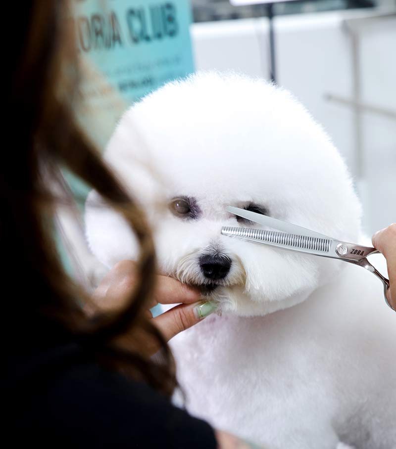 Zora Pet Grooming Blender Shear