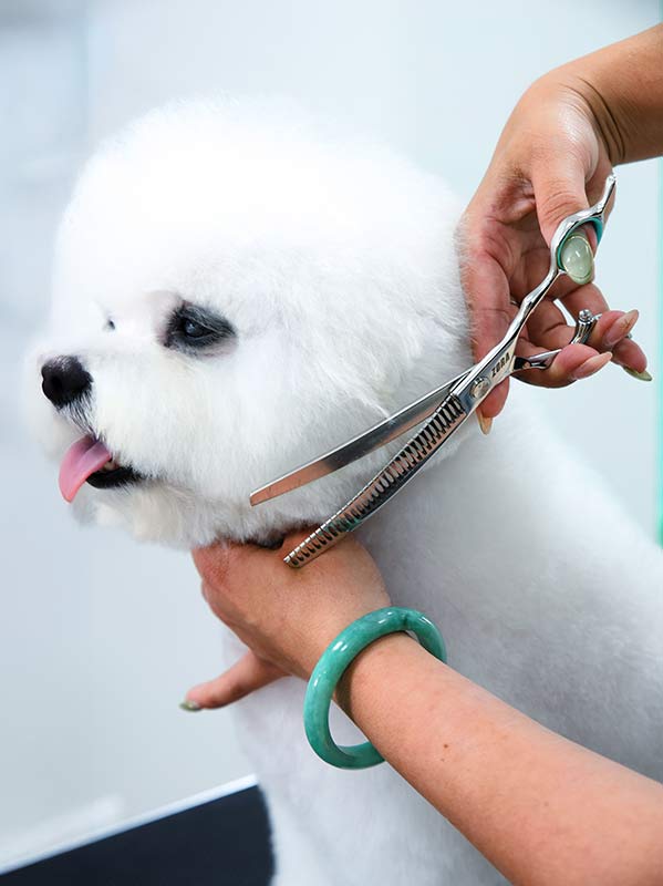 Zora Pet Grooming Curved Blender Shear