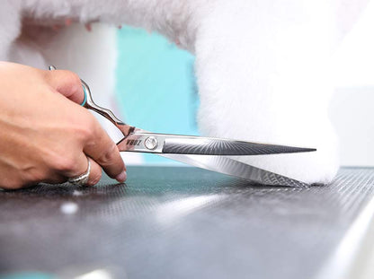 Zora Pet Grooming Curved Shear