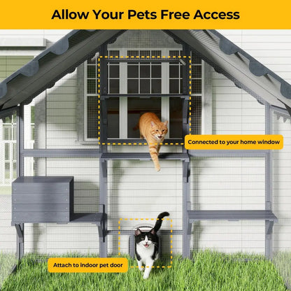 Large Cat Enclosure