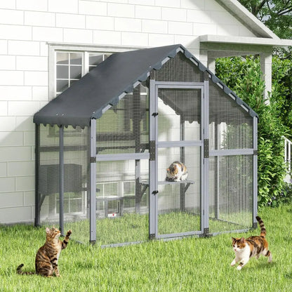 Large Cat Enclosure
