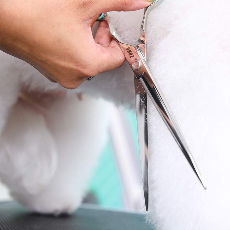 Zora Pet Grooming Shear