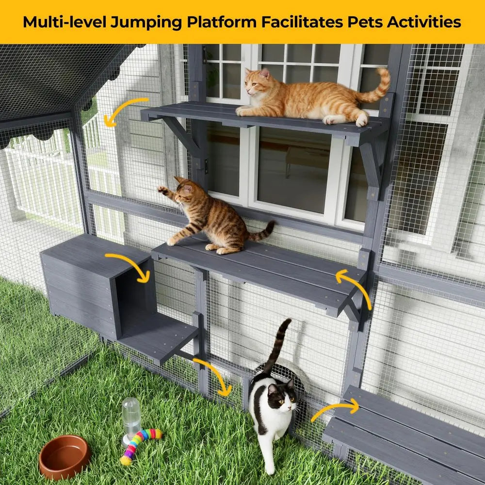 Large Cat Enclosure